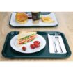 Picture of Olympia Kristallon Medium Polypropylene Fast Food Tray Green 415mm - P505