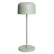 Picture of Olympia Siena Table Lamp Round Dome Sage 300mm