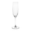 Picture of Olympia Novello Crystal Champagne Flutes 180ml (6 pack)