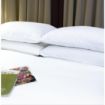 Picture of Mitre Comfort Percale Oxford Pillowcase White - HB924