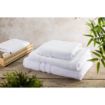 Picture of Mitre Comfort Nova Hand Towel White - GT794