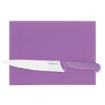 Picture of Hygiplas High Density Purple Chopping Board Small 305x229x12mm