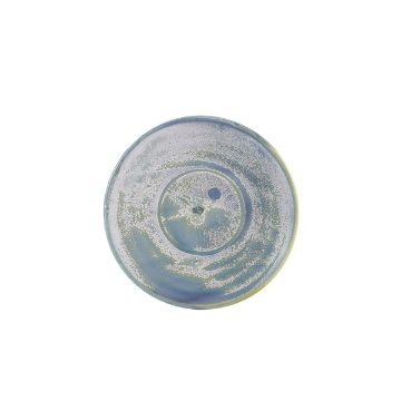 Picture of Terra Porcelain Seafoam Saucer 14.5cm - Pack of 6