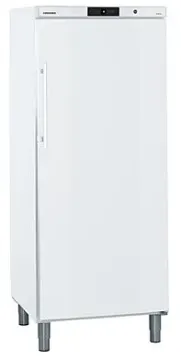 Picture of Liebherr GGv 5010 White Frost Forced-air Freezer 478 Litres