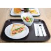 Picture of Olympia Kristallon Large Polypropylene Fast Food Tray Brown 450mm - P509
