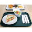 Picture of Olympia Kristallon Large Polypropylene Fast Food Tray Green 450mm - P511