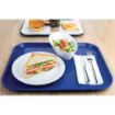 Picture of Olympia Kristallon Polypropylene Fast Food Tray Blue Large 450mm - P512