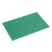 Picture of Jantex Green 100% Recycled Scouring Pads 9x6" (10 pack)