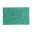 Picture of Jantex Green 100% Recycled Scouring Pads 9x6" (10 pack)
