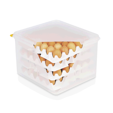 Picture of HACCP egg box