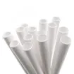 Picture of Biodegradable Straws White Paper 8'' X 250 X 24