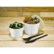 Picture of Compostable 8oz White Soup Container X 1000