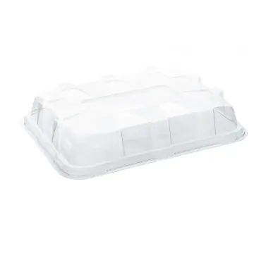 Picture of Sabert Medium Pet Clear Dome Lid X 50