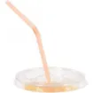 Picture of 9-20oz Gr Spirit Flat Lid Straw Slot X 800