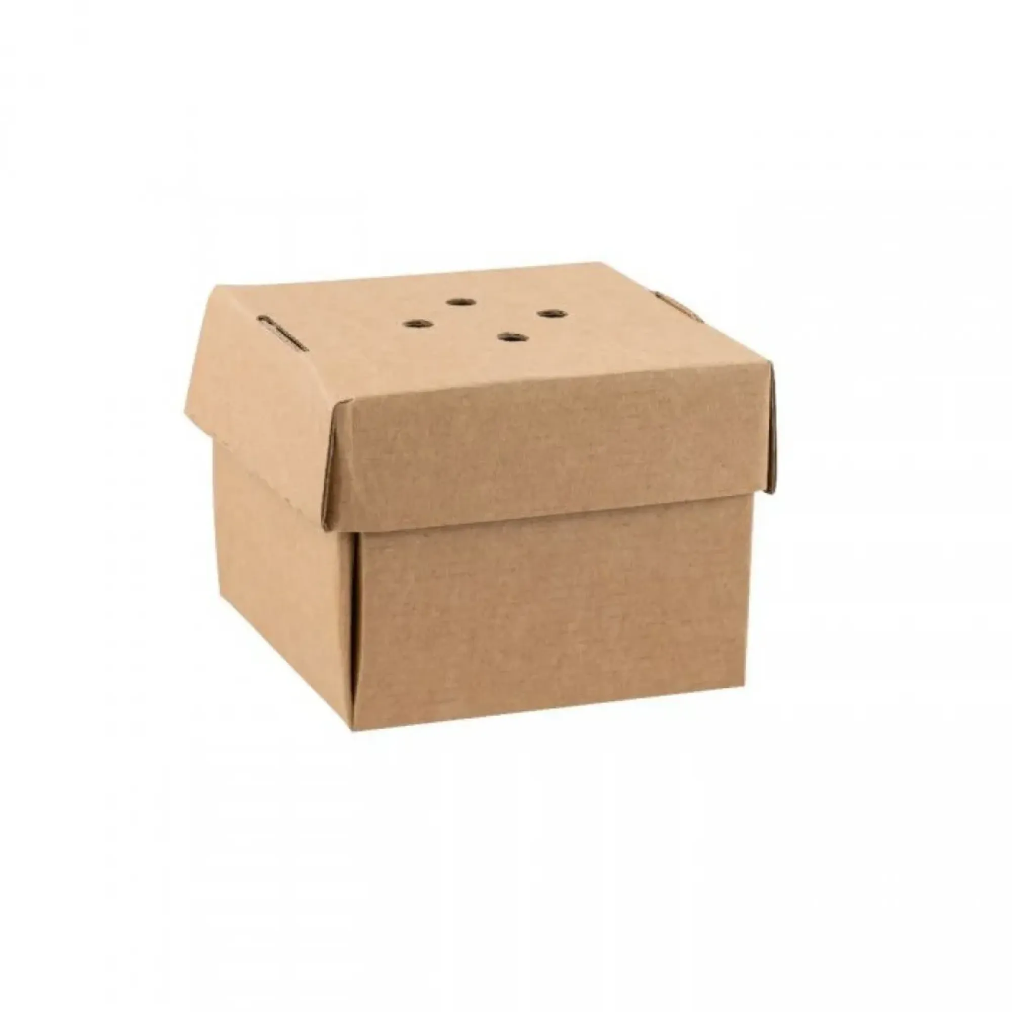 Picture of Corrugated Premium Burger Box X 100