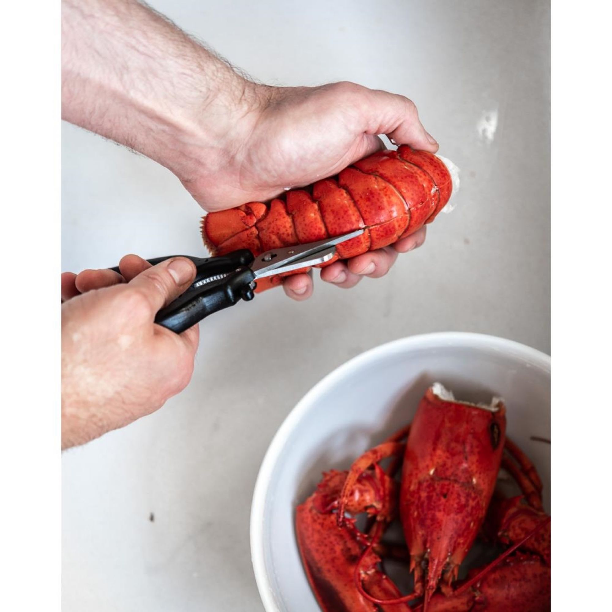 Picture of De Buyer Seafood Shears