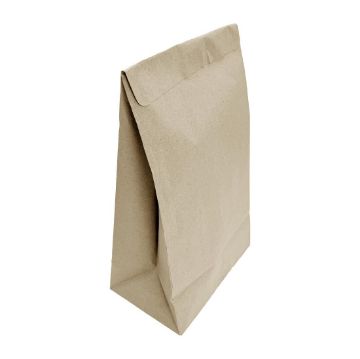 Picture of Fiesta Recyclable Sealable Takeaway Bags Medium (250 Pack)