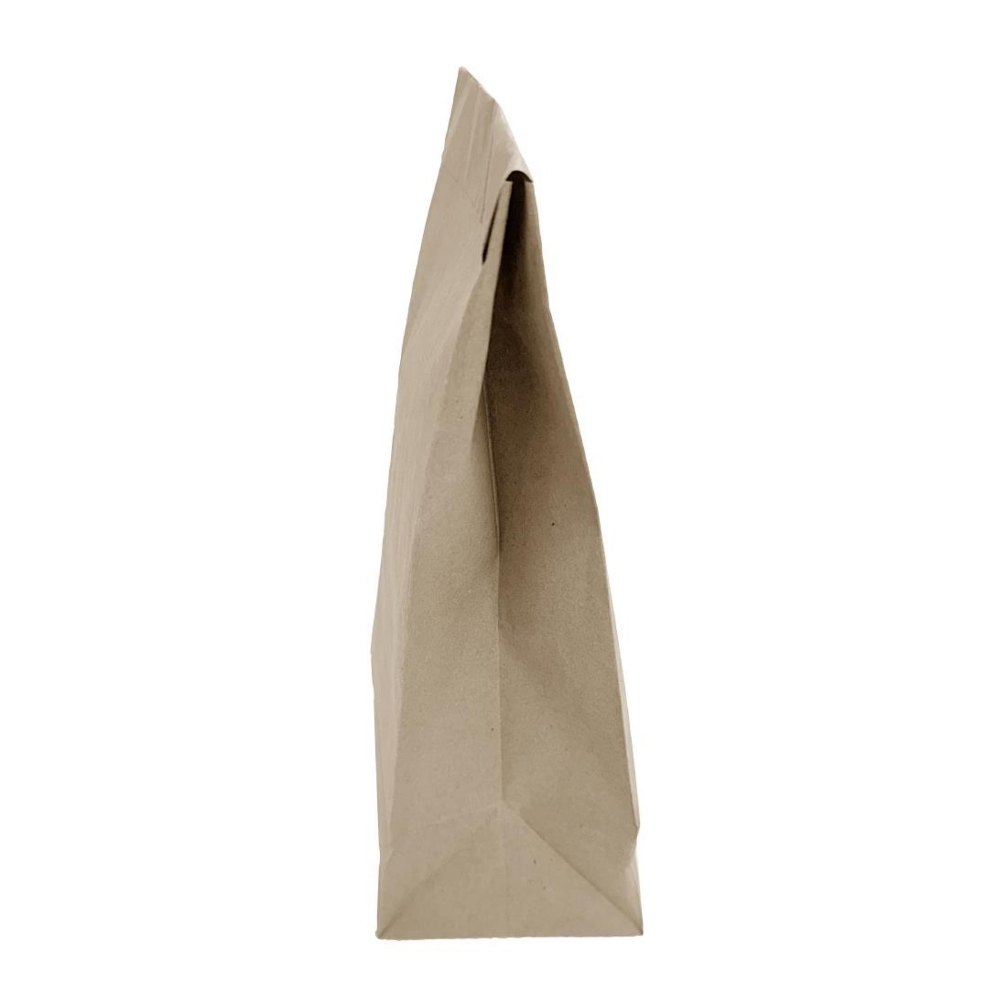Picture of Fiesta Recyclable Sealable Takeaway Bags Medium (250 Pack)
