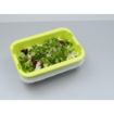Picture of Scaritech Drainage Tray Anis Green 5Ltr