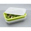 Picture of Scaritech Drainage Tray Anis Green 5Ltr