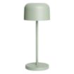 Picture of Olympia Siena Table Lamp Round Dome Sage 200mm