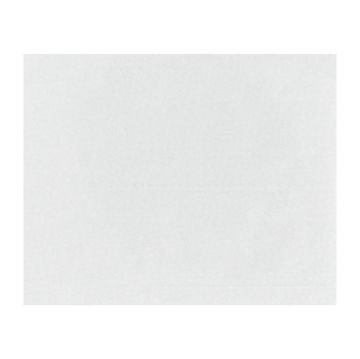 Picture of Fiesta Compostable Burger Wraps White 250x200mm (200 Pack)