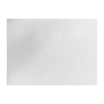 Picture of Fiesta Compostable Burger Wraps White 250x350mm (200 Pack)