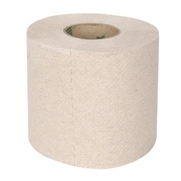 Picture of Jantex Green 100% Recycled Toilet Roll 2ply 320 Sheets (36 Pack)
