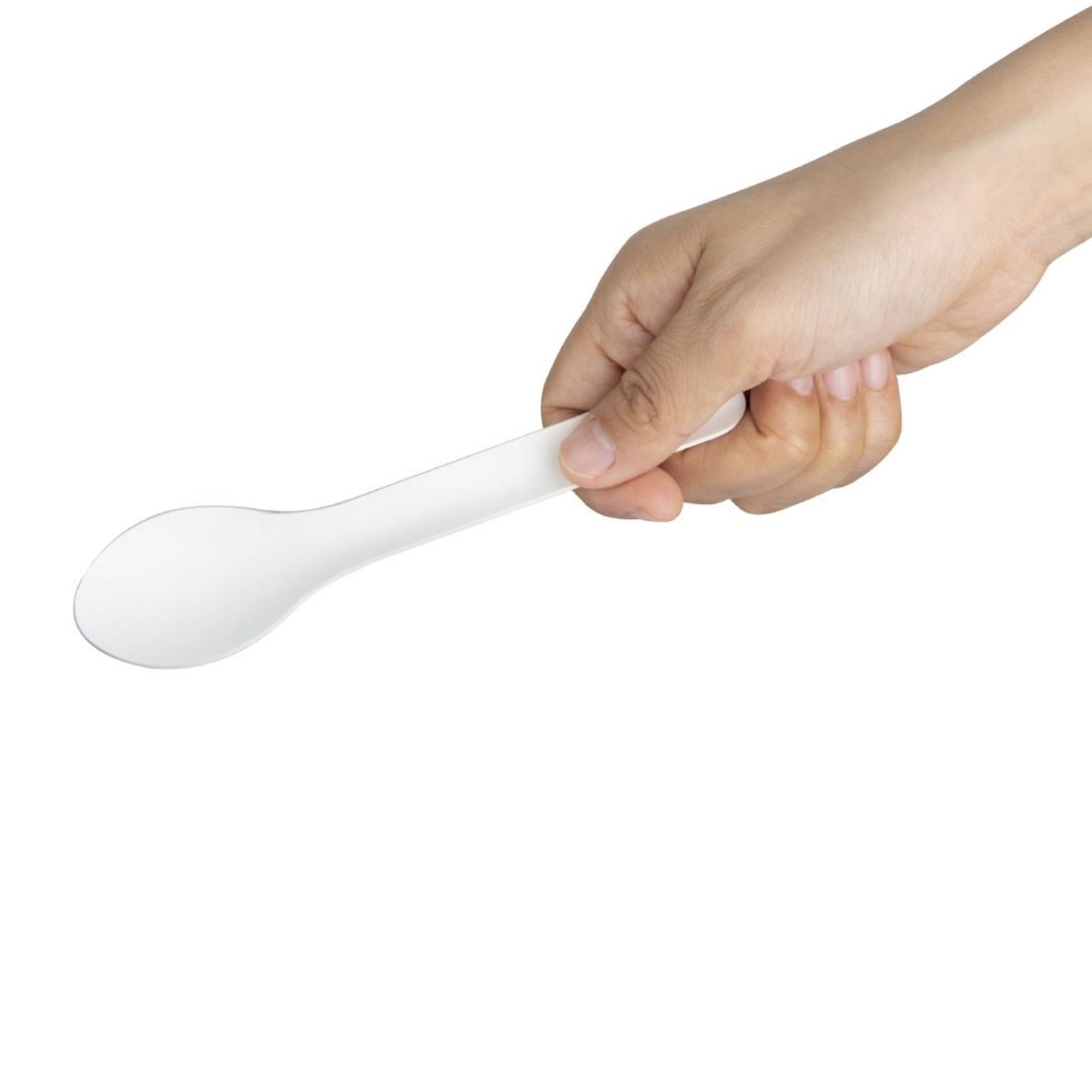 Picture of Fiesta Compostable Paper Spoons 150mm (100 Pack)