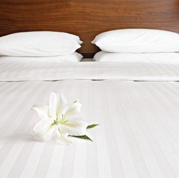 Picture of Mitre Comfort Satin Duvet Cover Oatmeal Super King