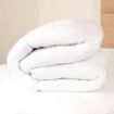 Picture of Mitre Comfort Bounceback 10.5 Tog Duvet Double