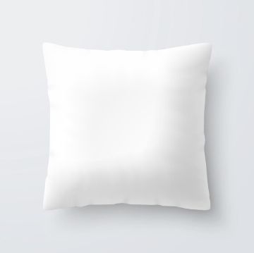 Picture of Mitre Square Cushion Pad Small
