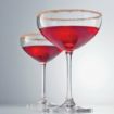Picture of Schott Zwiesel Bar Special Crystal Champagne Saucers 281ml (6 pack)