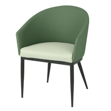 Picture of Bolero Sloane Interior Dining Chairs - Green Forest Mix (2 pack)