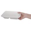 Picture of Fiesta Compostable Bagasse Hinged 2-Compartment Food Containers 253mm (200 Pack)