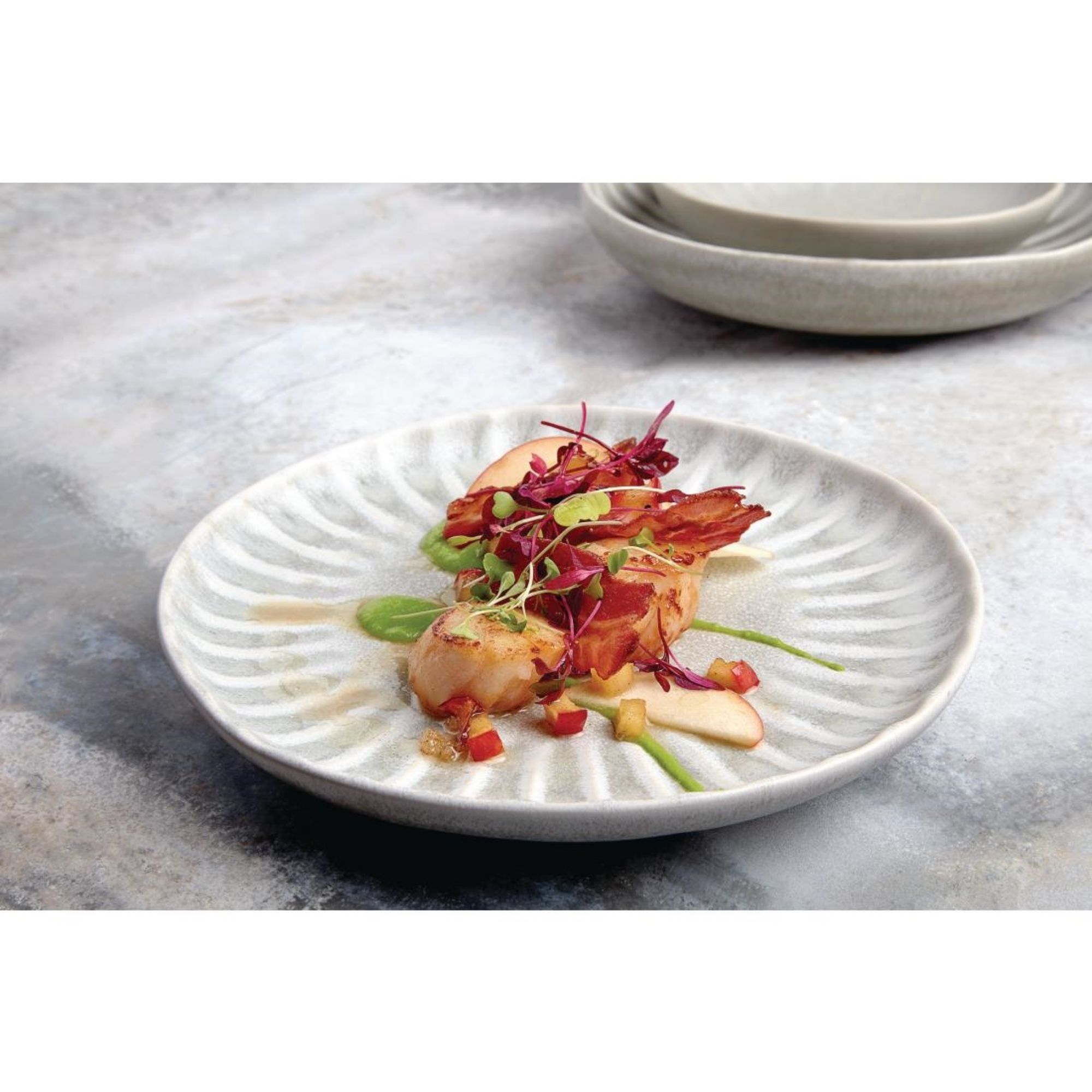 Picture of Olympia Corallite Plates Concrete Grey 205mm (6 Pack)