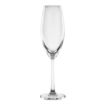Picture of Olympia Cordoba Flute - 210ml 7 1/4oz (6 Pack)
