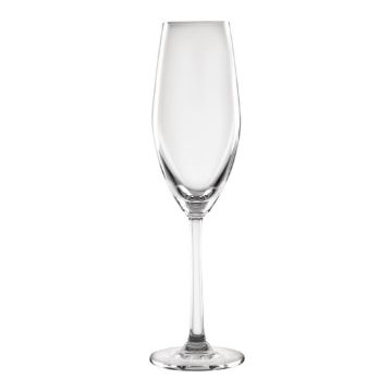 Picture of Olympia Cordoba Flute - 210ml 7 1/4oz (6 Pack)