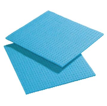 Picture of Spontex Spongyl Blue (10 Pack)
