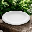 Picture of 10.5x8" Bagasse Oval Plate (10x50's)
