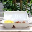 Picture of 9x6x2" - 2 Compartment Bagasse Meal Box (1000ml) (5x50)