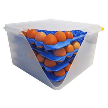 Picture of Araven Airtight Container with 4 Egg Trays GN 2/3 200mm