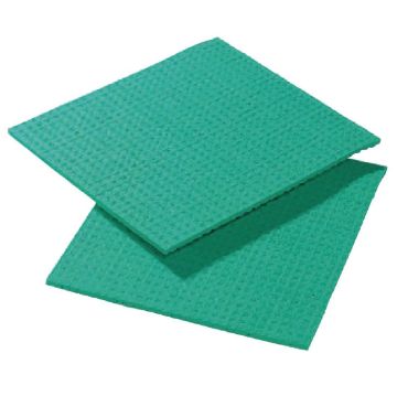 Picture of Spontex Spongyl Green (10 Pack)