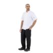 Picture of Whites Cargo Pants XL