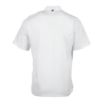 Picture of Chef Works Springfield Zipper Mens Chef Jacket White XL