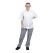 Picture of Whites Unisex Vegas Chefs Trousers Blue & White Check 2XL