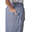 Picture of Whites Unisex Vegas Chefs Trousers Blue & White Check 2XL