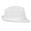Picture of Trilby Hat with Net Snood White L