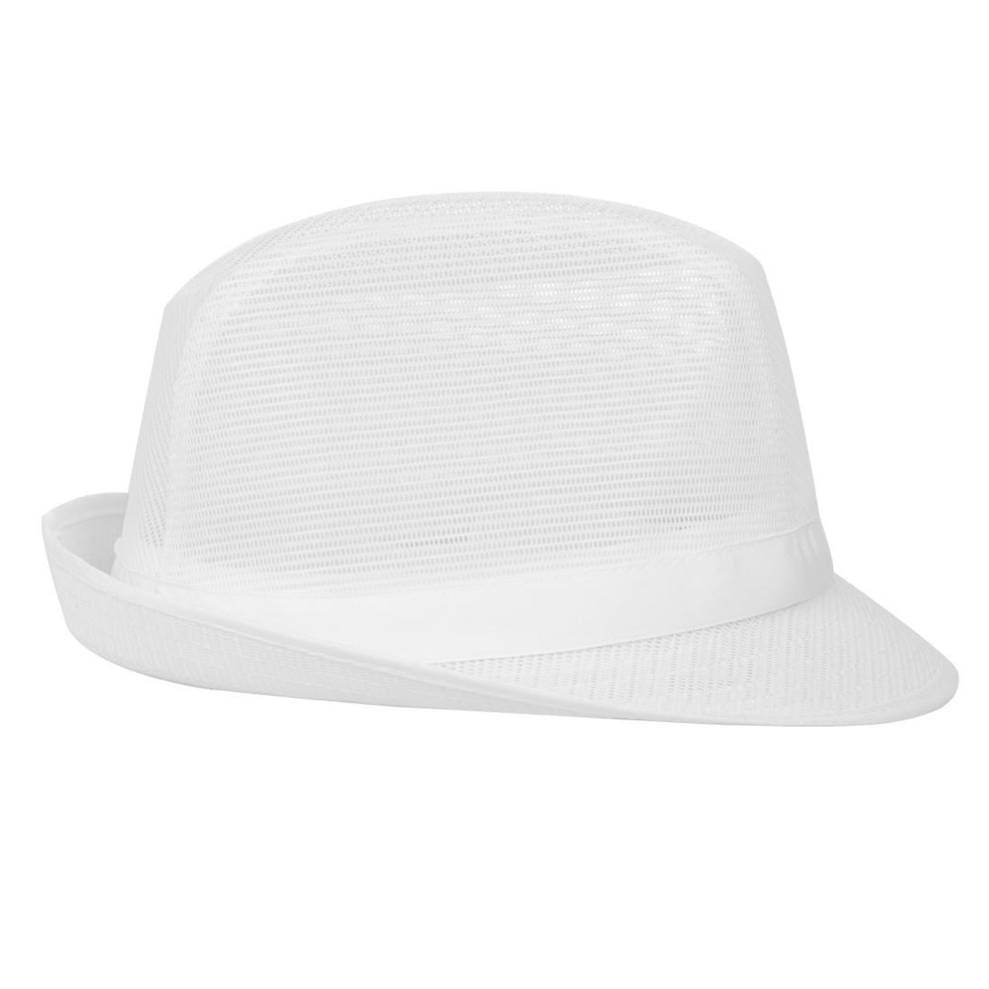 Picture of Trilby Hat with Net Snood White L