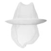 Picture of Trilby Hat with Net Snood White L